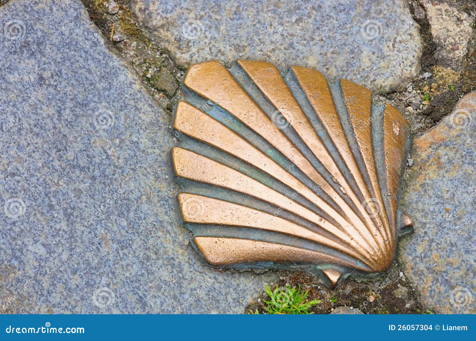 St James shell stock photo. Image of jakob, marking, compostelle - 26057304