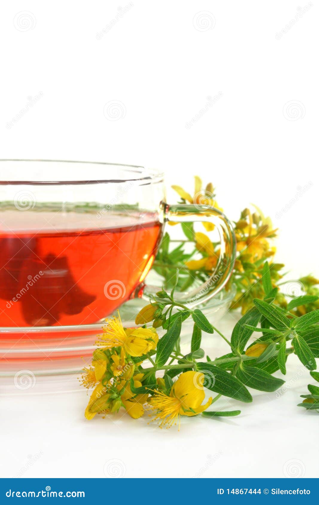 St. John s Wort Tea stock photo. Image of herb, yellow 14867444