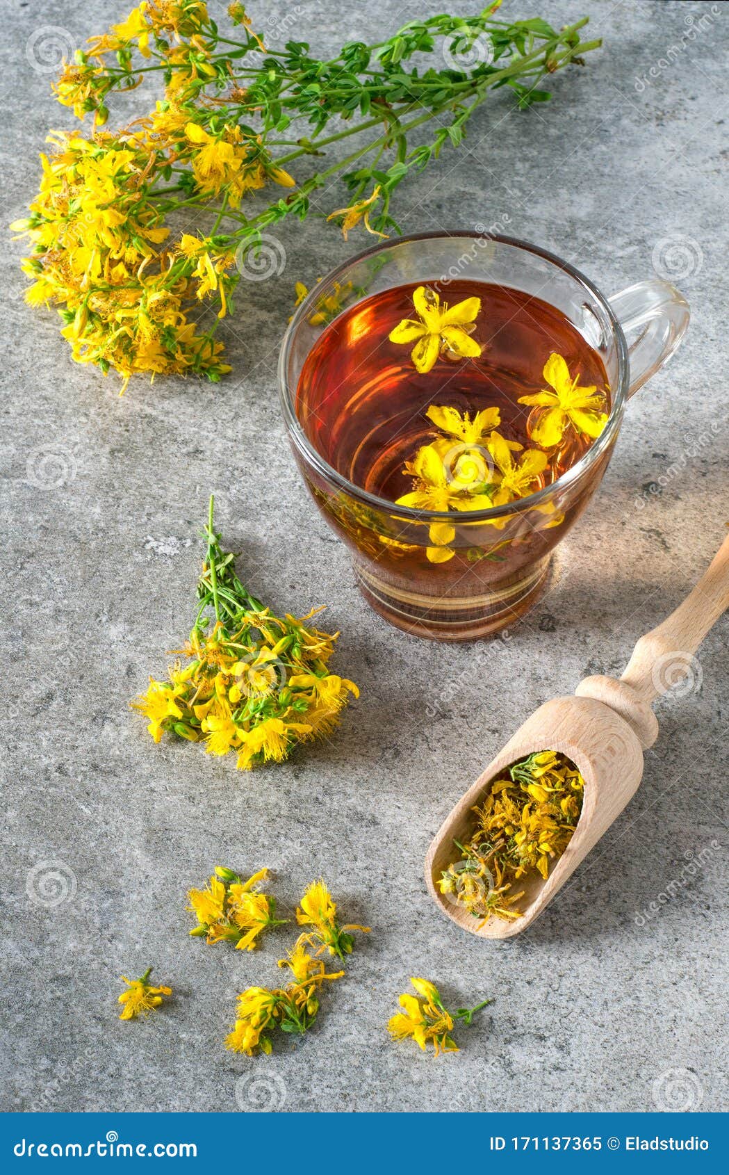 St. John`s Wort Tea and Hypericum Flowers Stock Image Image of fresh
