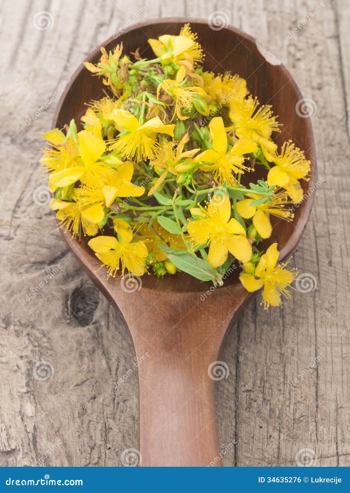 St John s wort. In the wooden spoon on the table