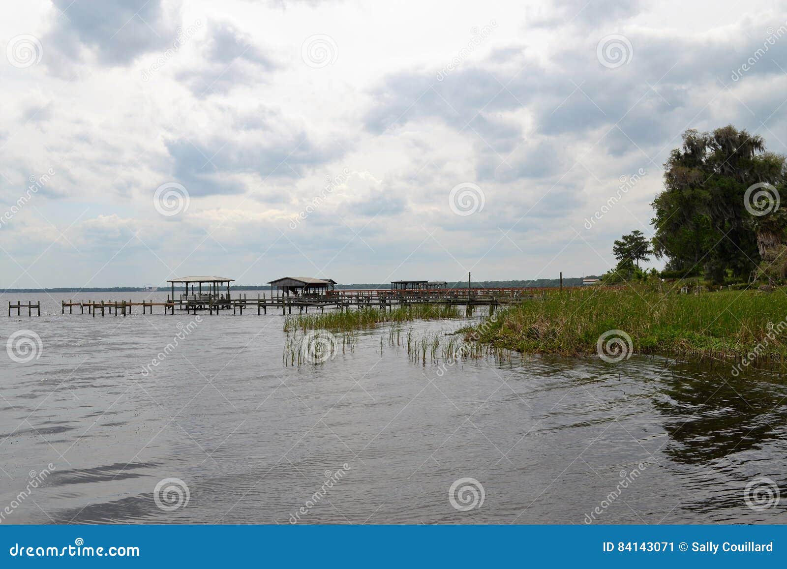 St Johns River Shoreside in Palatka Florida Stock Image Image of