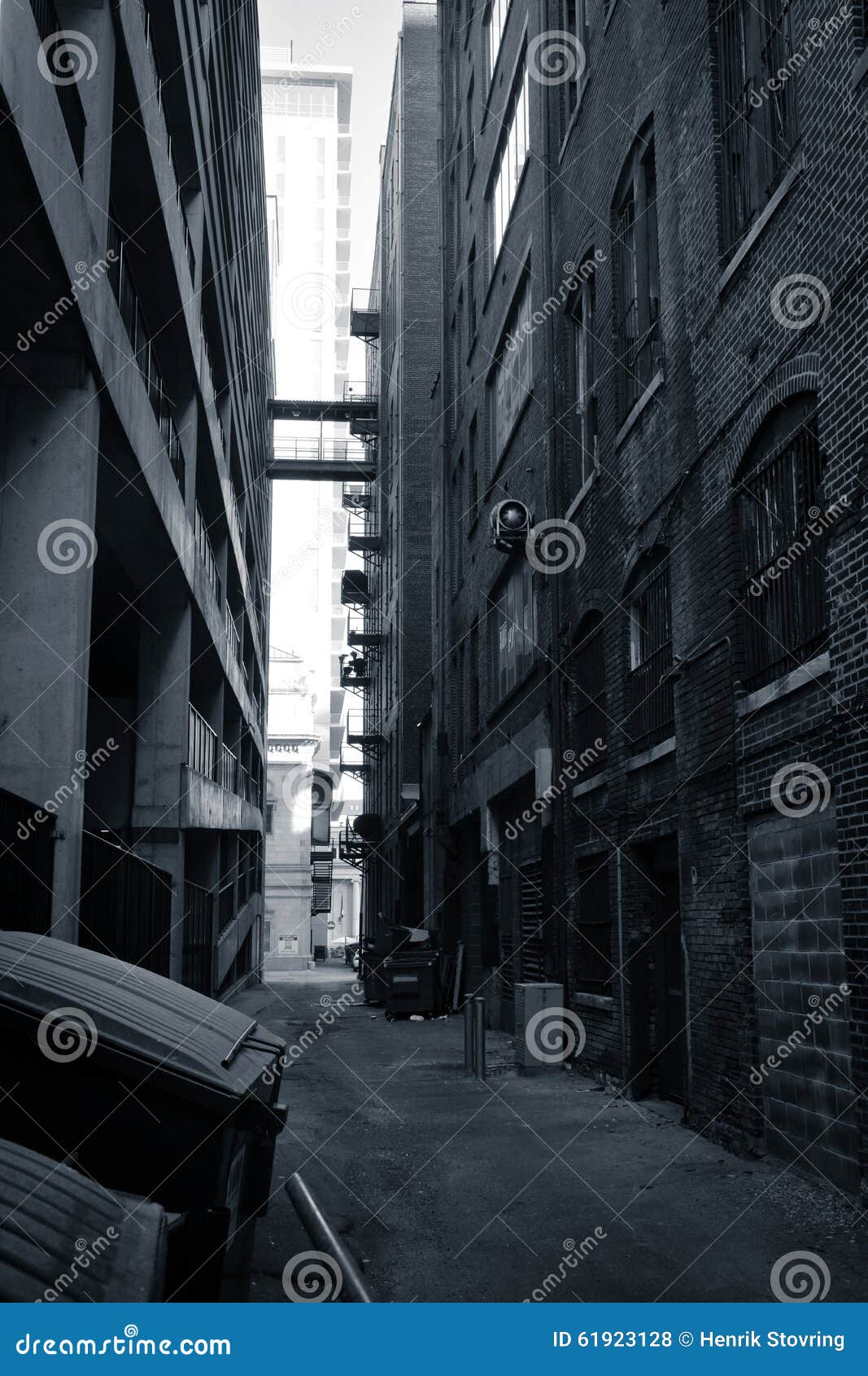 St. Louis back alley stock photo. Image of containers - 61923128