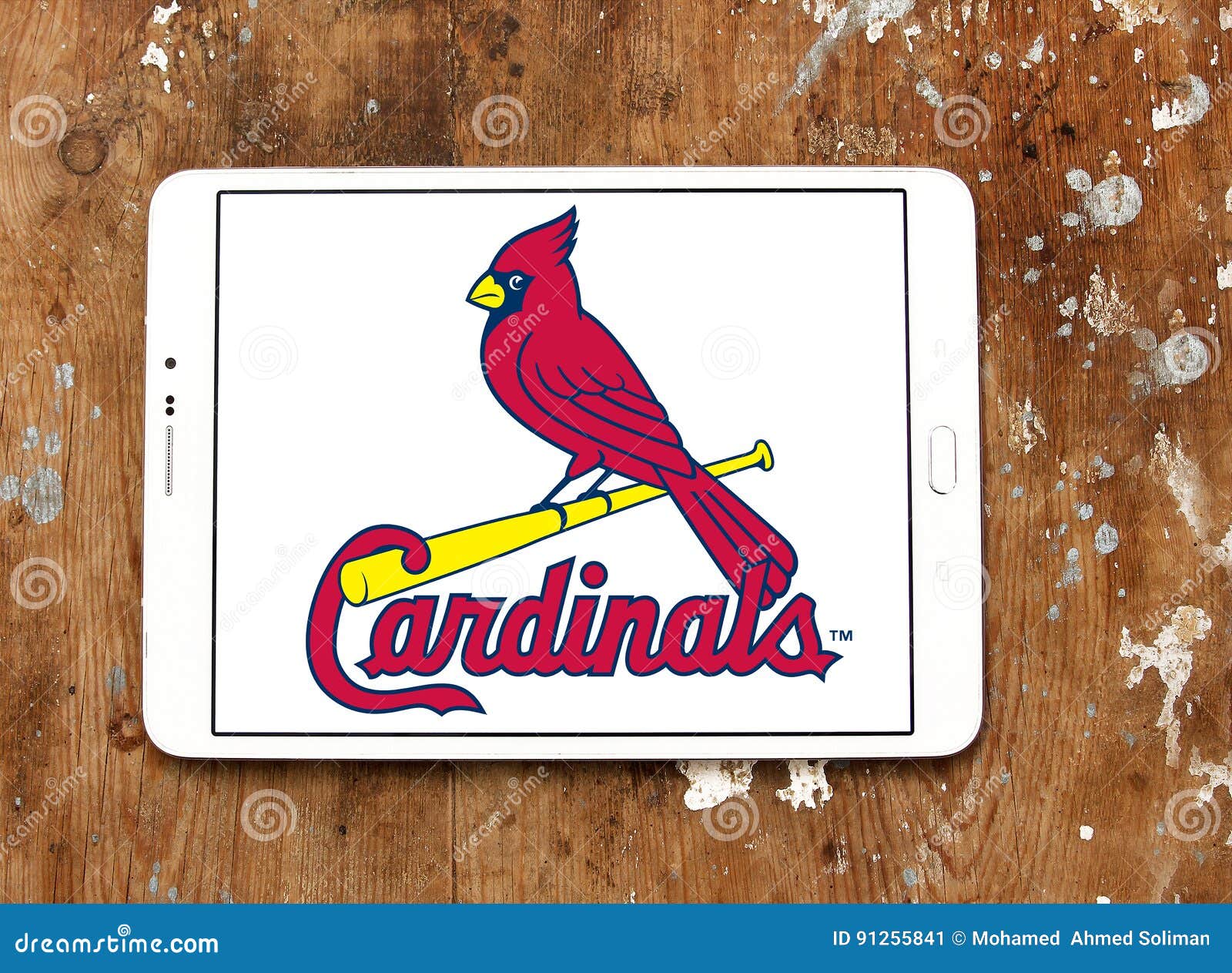 St. Louis Cardinals – Canvas Coliseums