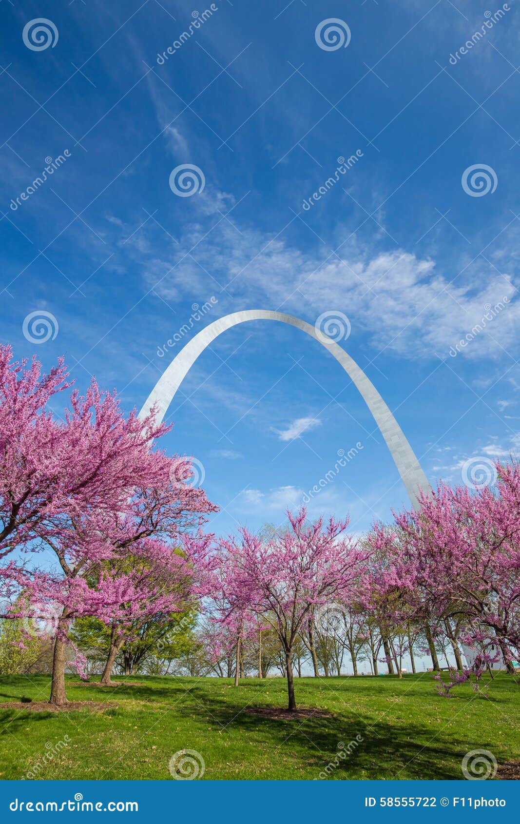St. Louis Gateway Arch stock photo. Image of metal, missouri - 58555722