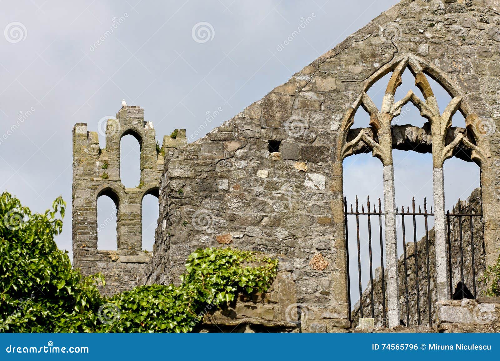 st marys abbey, howth, dublin