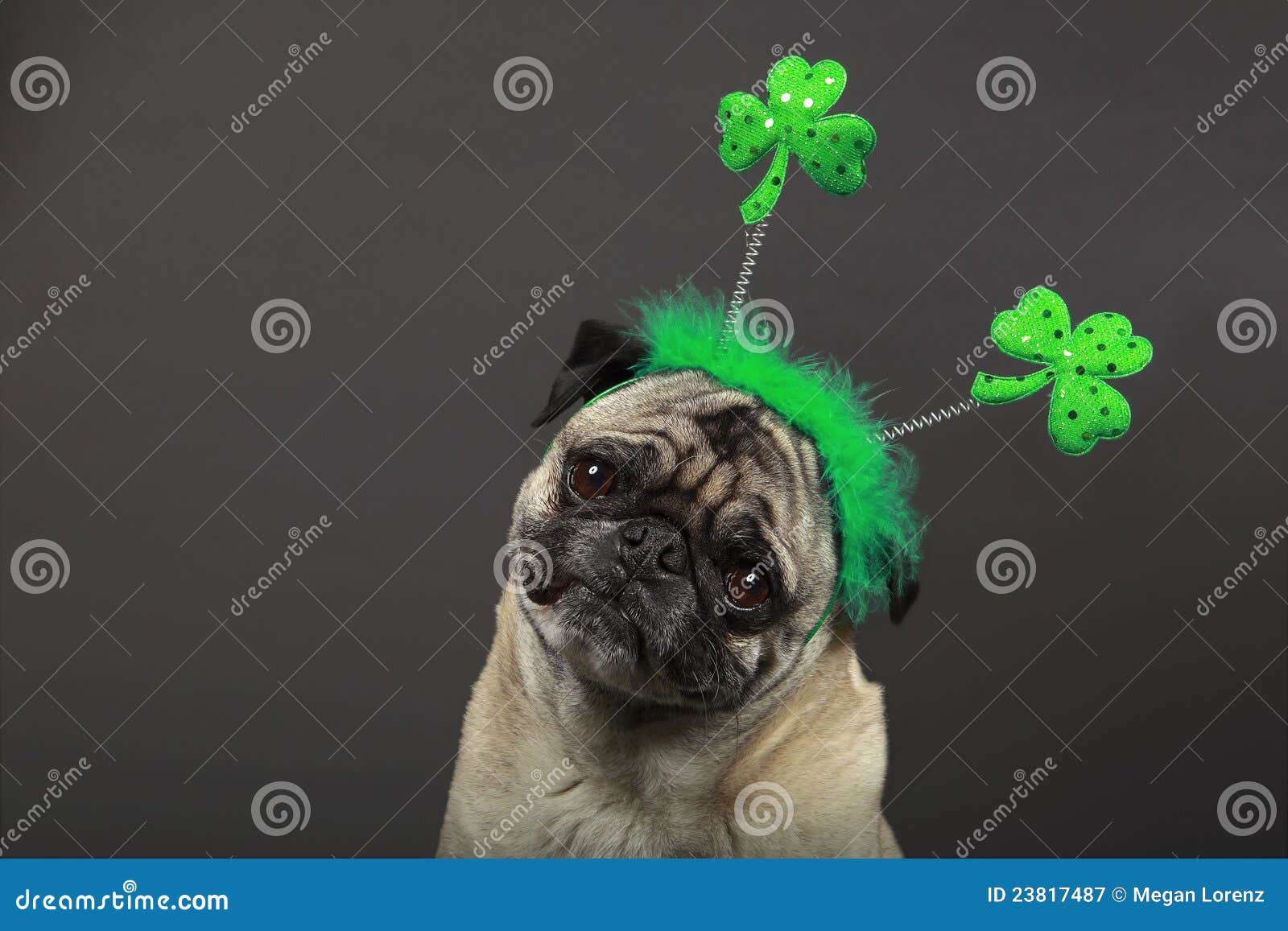 st. patrick's day pug