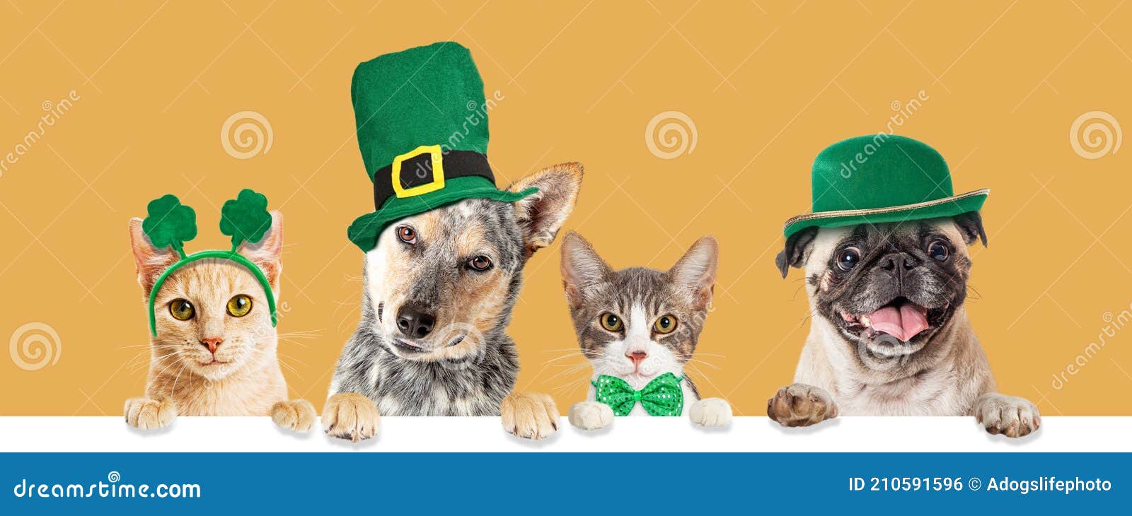 St Patricks Day Cats and Dogs Over Banner