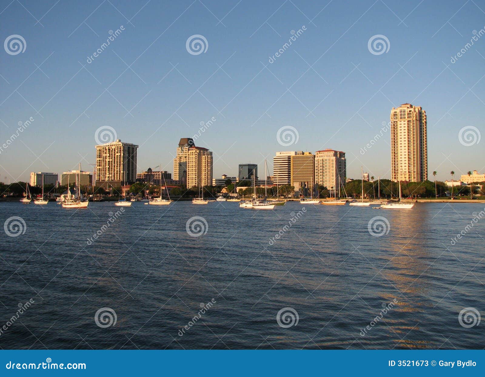 st. pete skyline