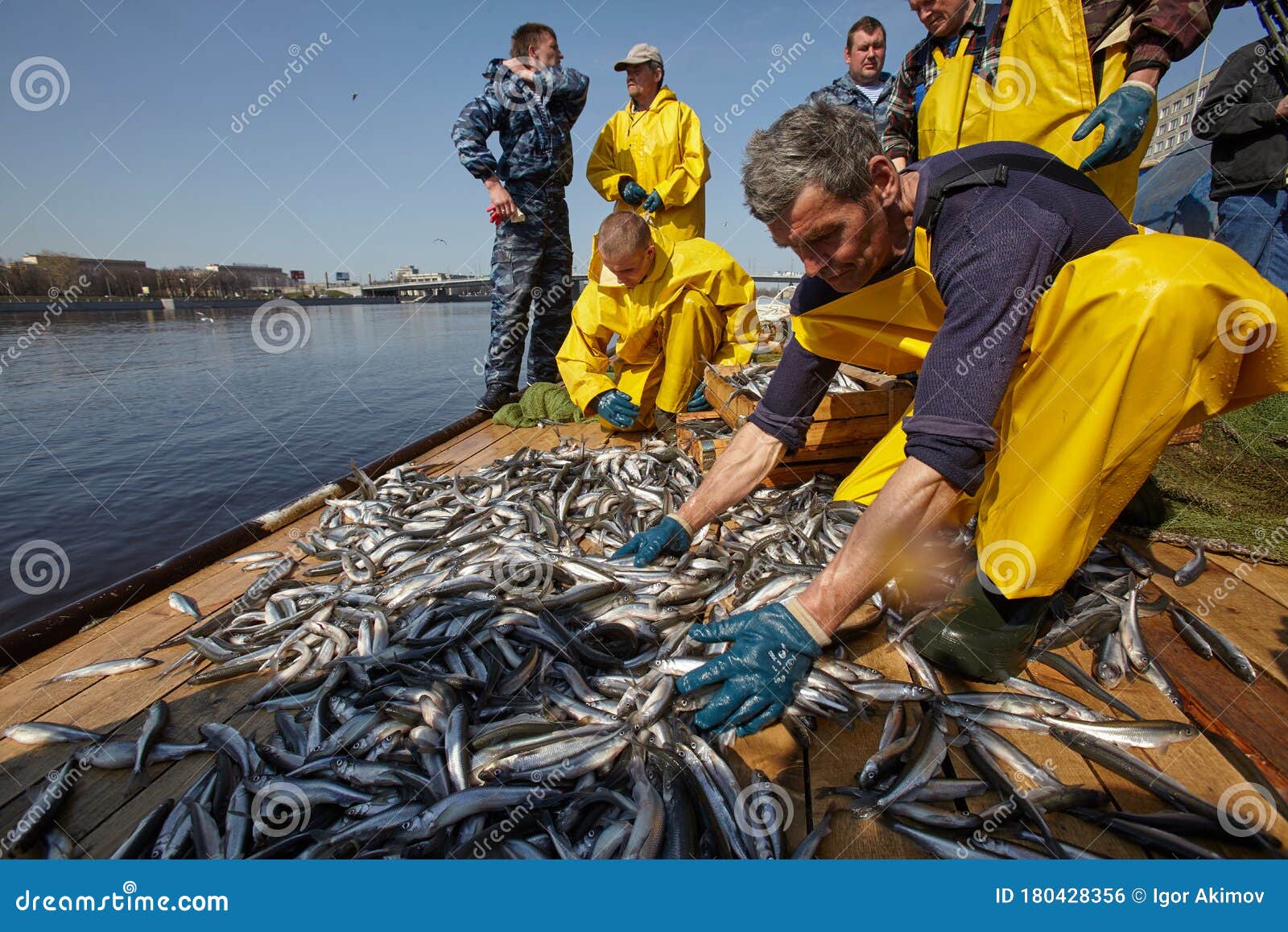 Smelt Fishing on the Neva River in St. Petersburg Editorial Photo - Image  of boat, gray: 180428356