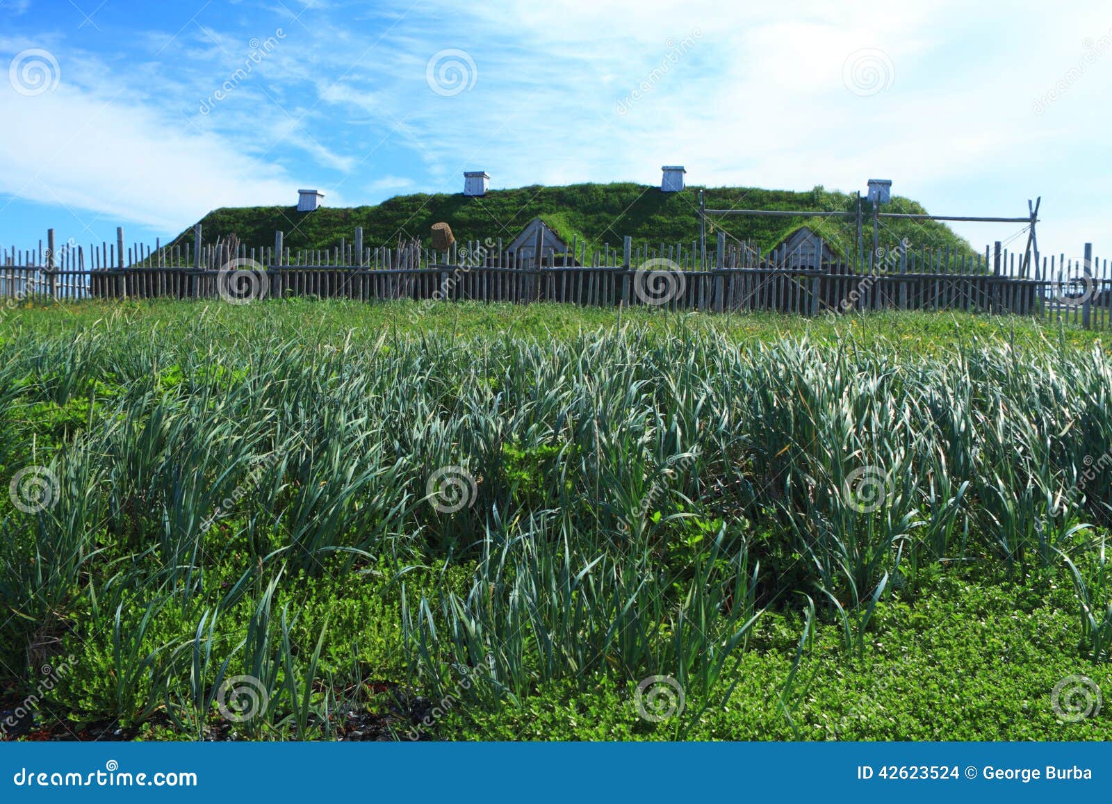 Stabilimento di Viking. Case antiche dei coloni di Viking nel sito storico nazionale dei prati aus. di L'Anse sull'isola di Terranova, Canada