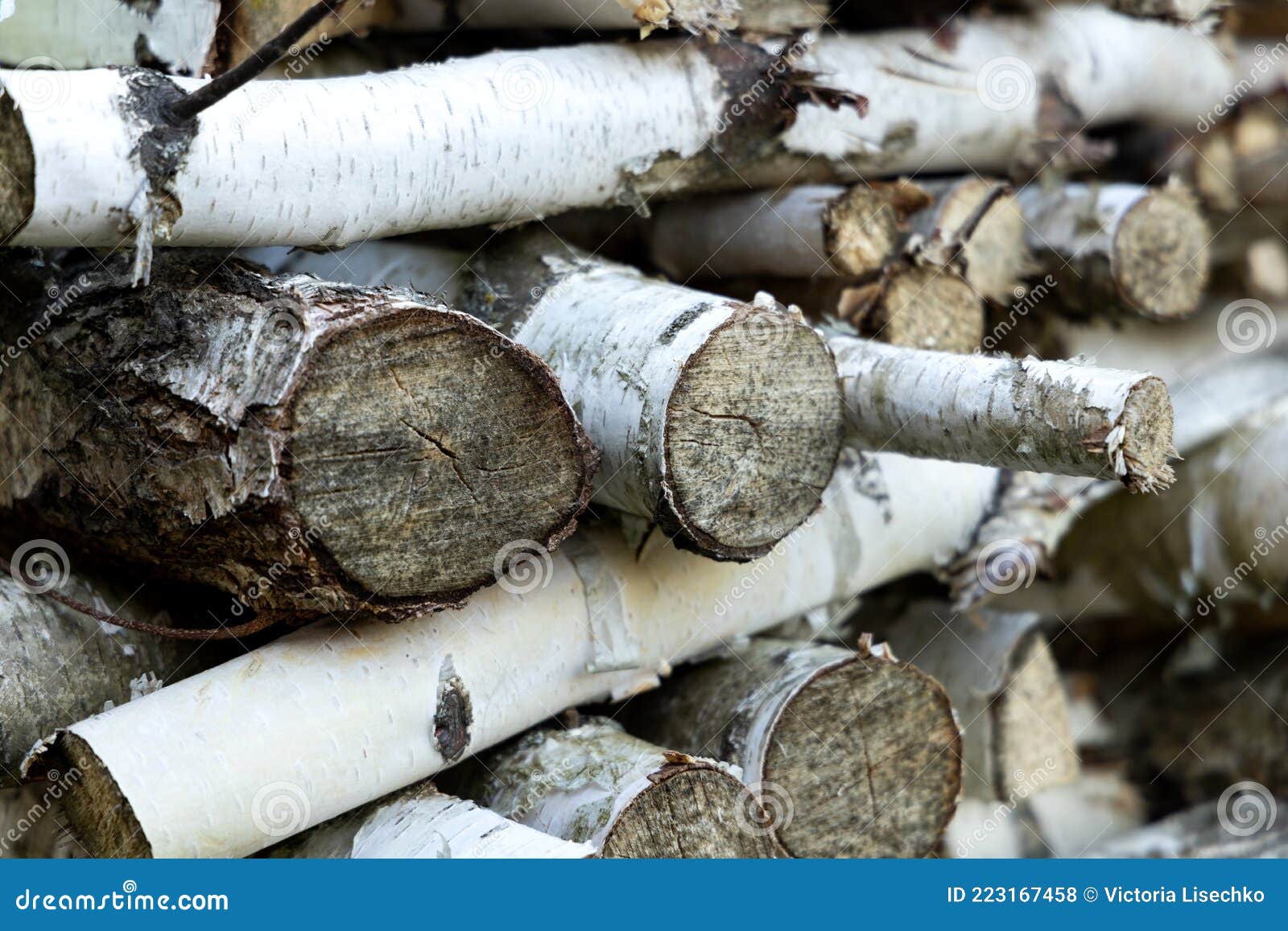 A Stack Of Birch Wood Prepared For Kindling. Ecofriendly And Natural Items Stock Photography