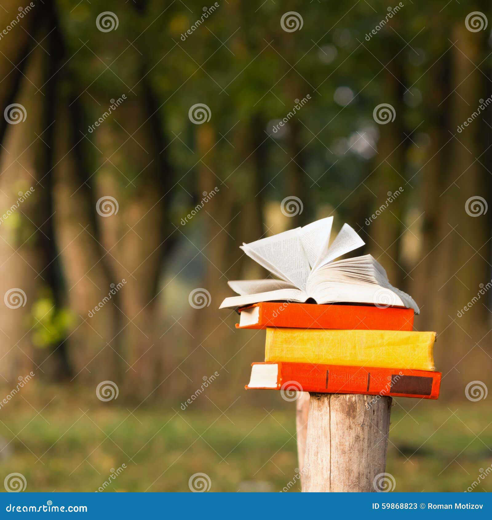 Stack Of Book And Open Hardback Book On Blurred Nature Landscape Backdrop Copy Space Back To School Education Background Stock Photo 5986 Megapixl Stack Of Book And Open Hardback Book On Blurred Nature Landscape Backdrop Copy Space Back To School Education Background Stock Photo 5986 Megapixl