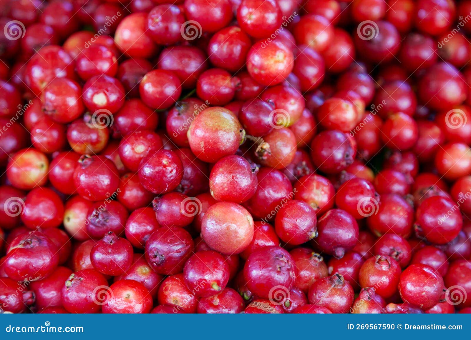 stack of cattley guavas on a market stall