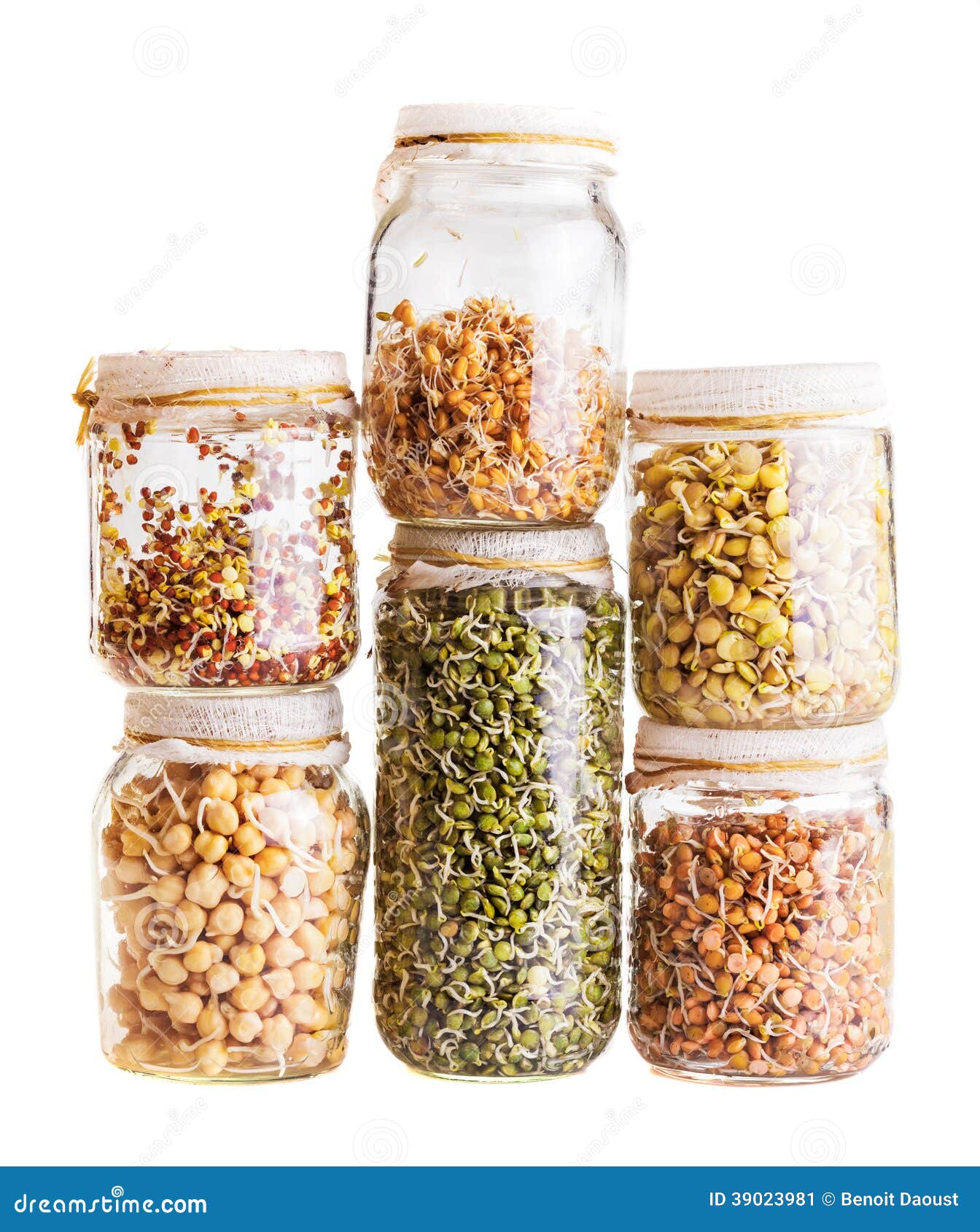 Stack Of Different Sprouting Seeds Growing In A Glass Jar Stock Photo ...