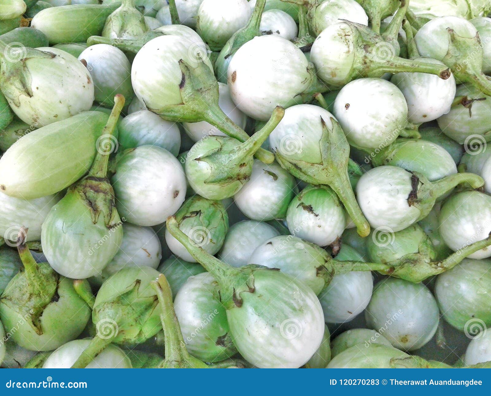 The Stack of Eggplant is Green and Many of the Balls Stock Image