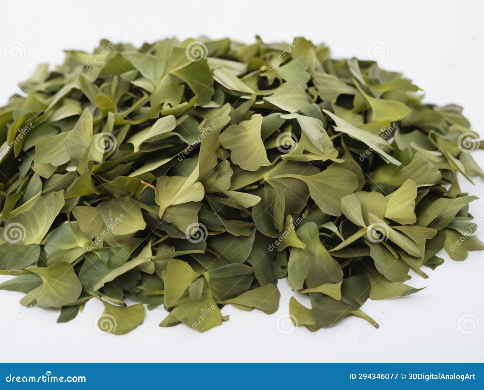 Stack of Gingko Leaves stock illustration. Illustration of asiatic