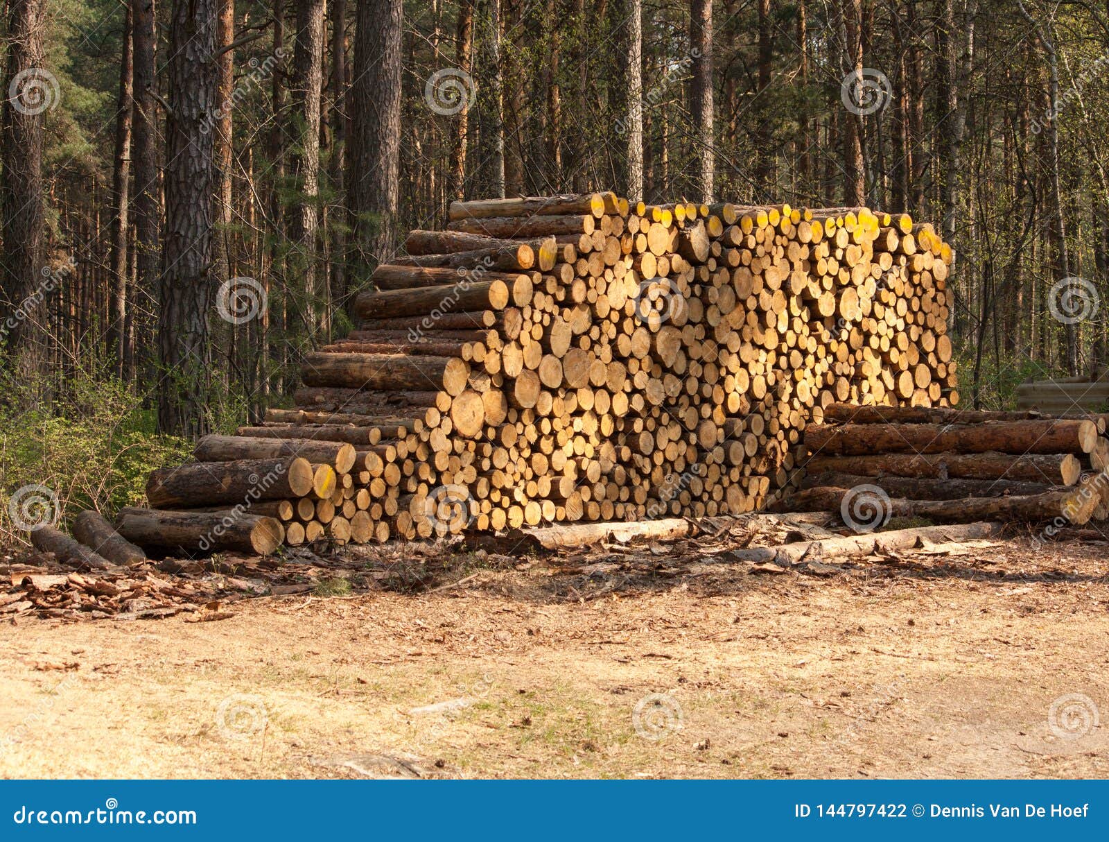 xyplorer preview tree stack xyplorer preview tree stack