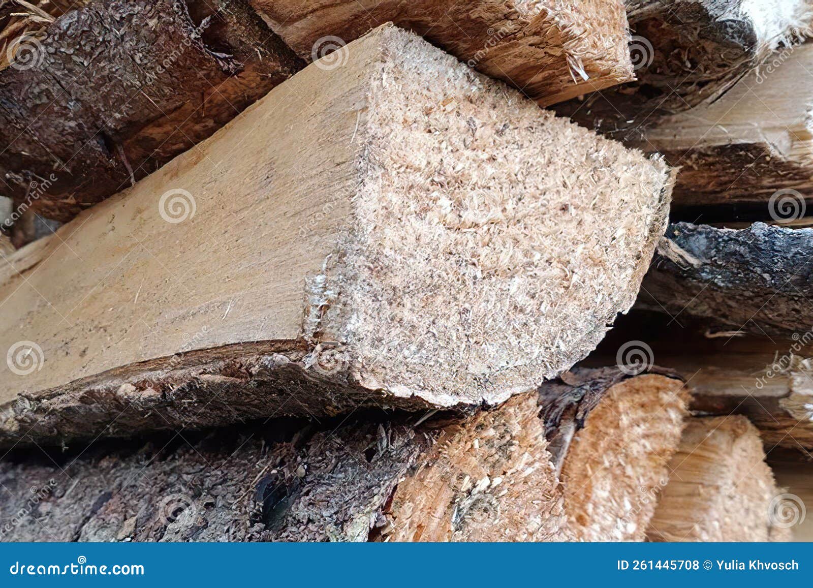 Stack of Logs on Sawmill, Close Up. Stock Photo Image of forest, trunk 261445708
