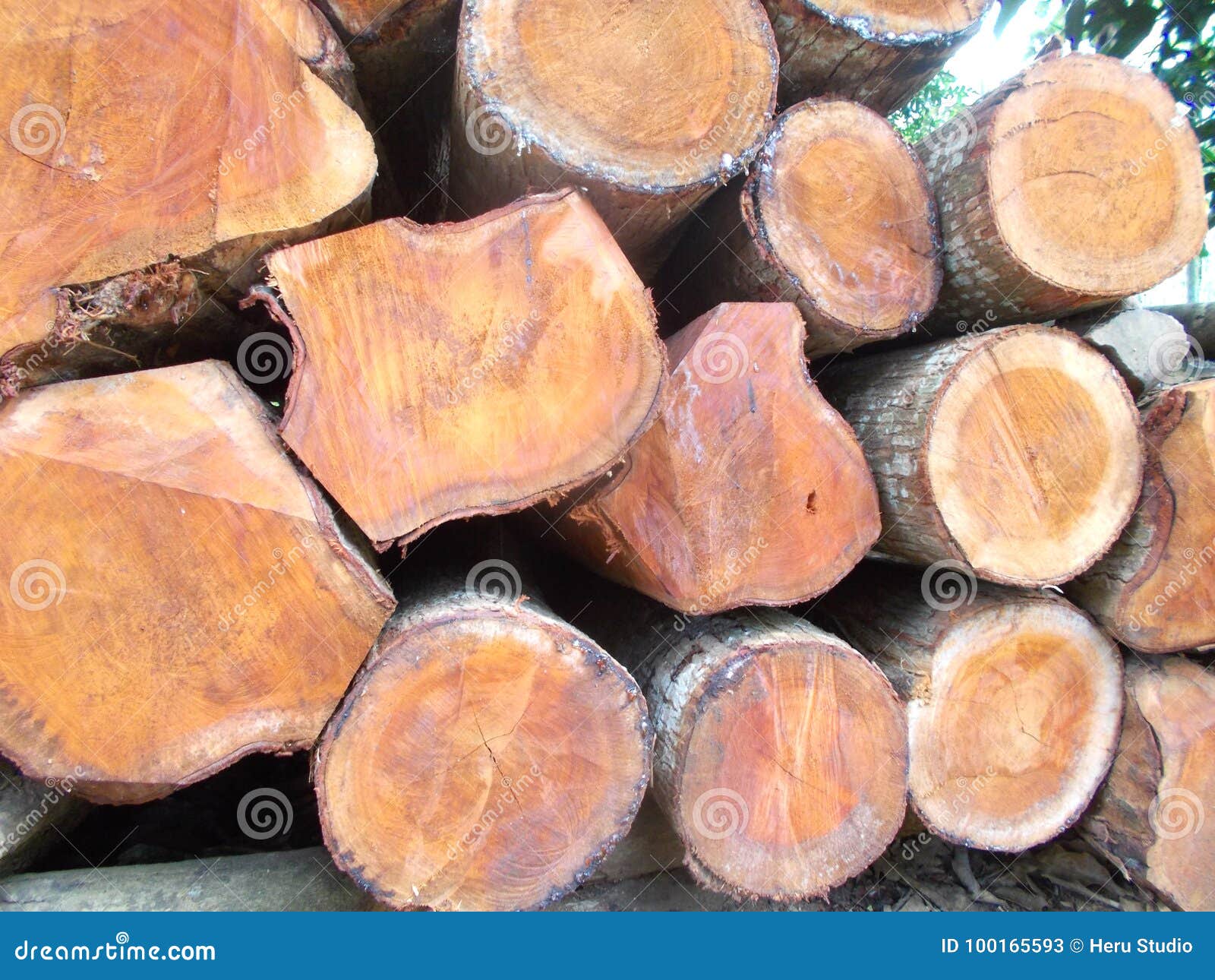 Stack Of Logs In Front Of Cabin In Mescalero Apache Indian Reservation Near Ruidoso And Alto