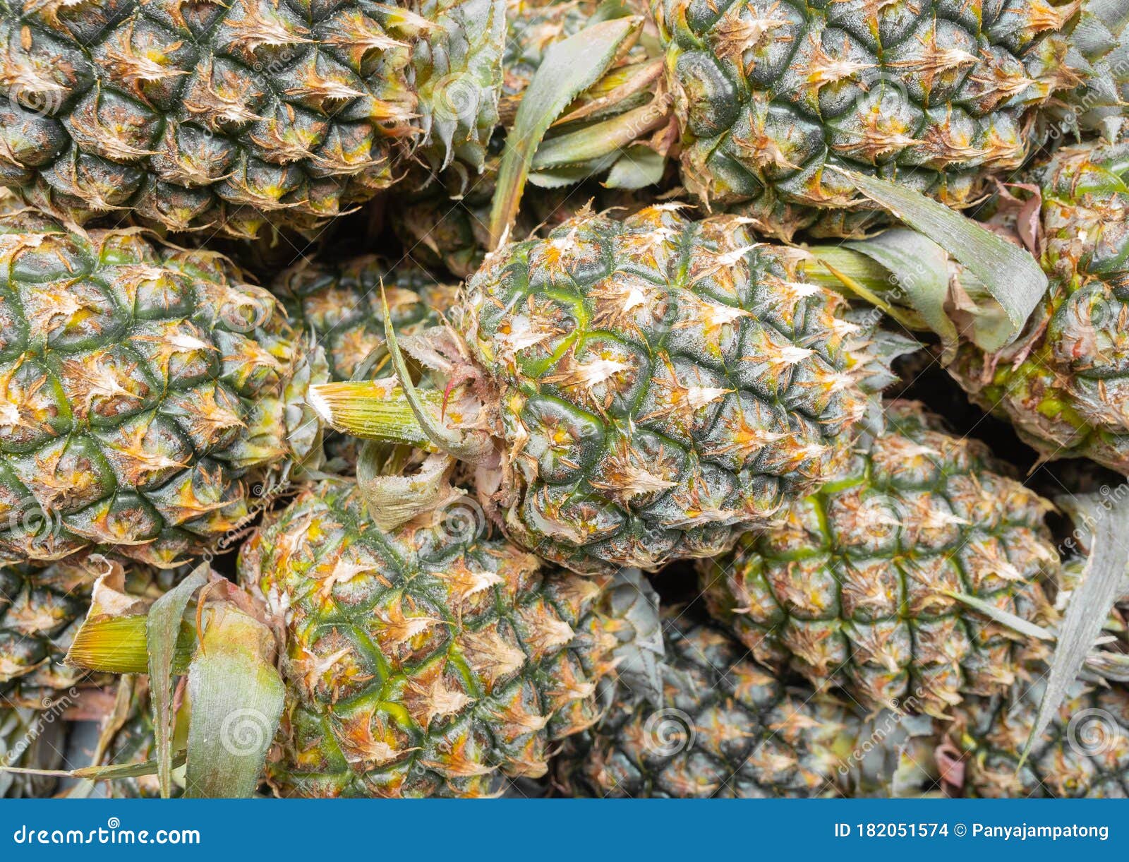 Stack of Pineapples Arranged for Sale Stock Photo Image of green