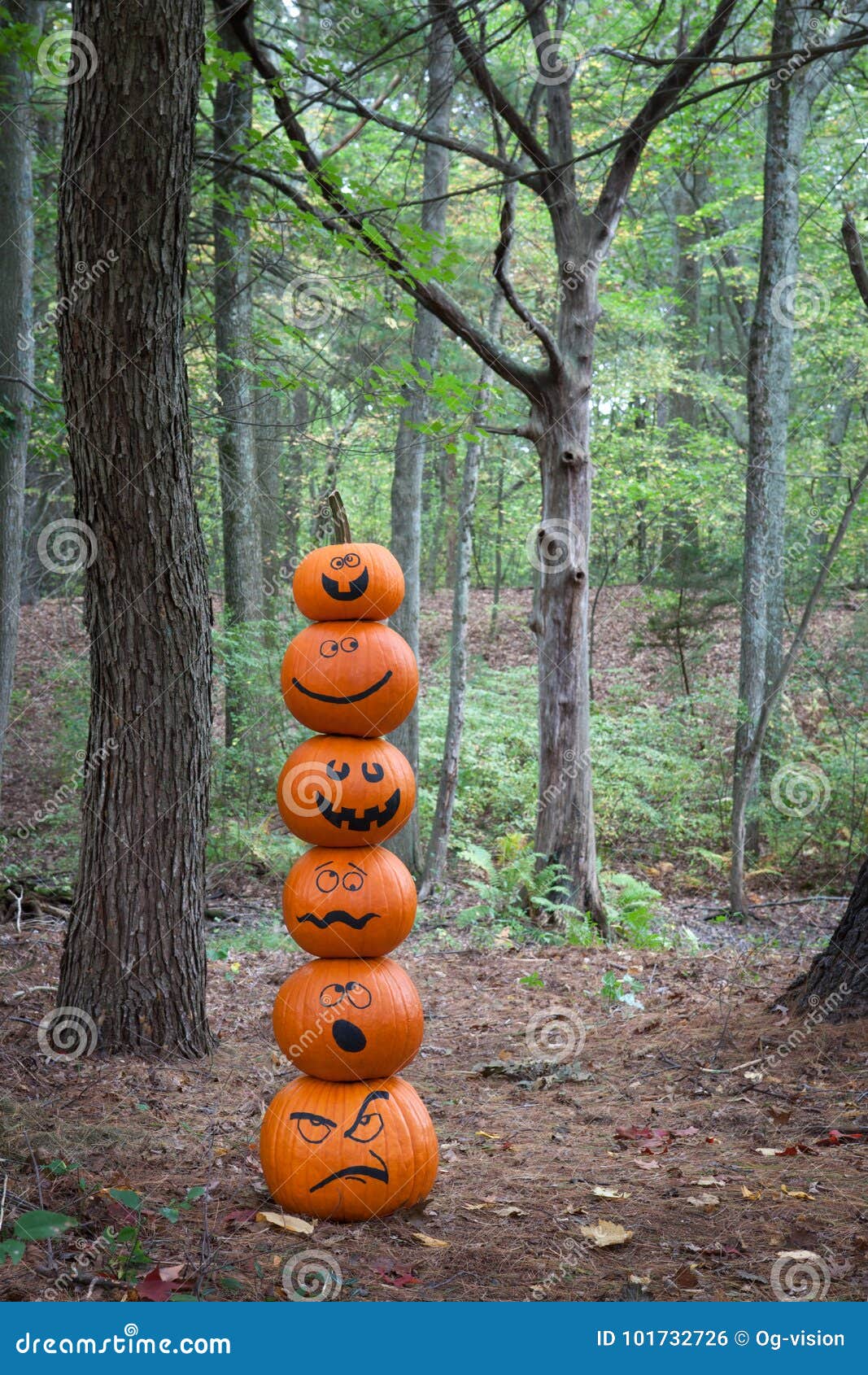 Stack of Pumpkins in the Woods Stock Photo Image of outside, autumn