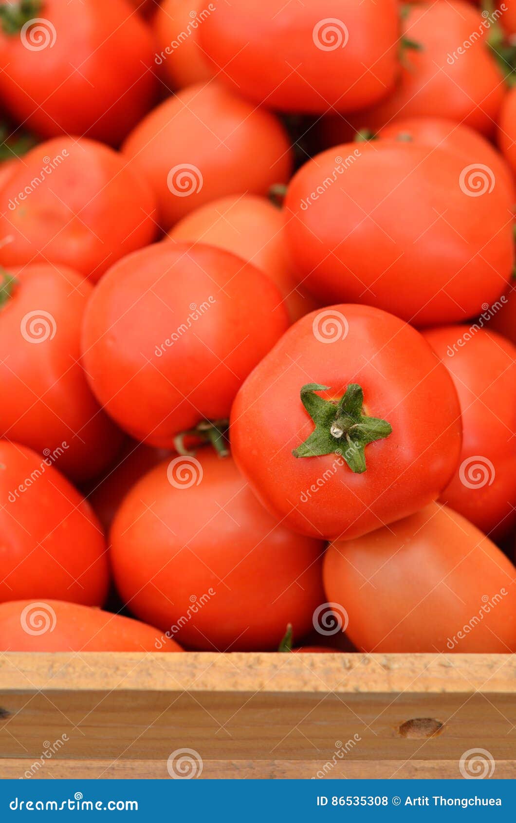 Stack of Tomatoes in Basket for Sale Stock Photo Image of market