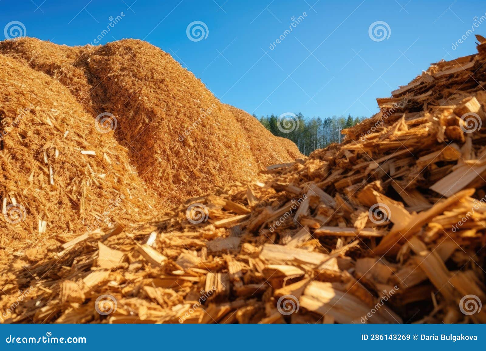 stack of wood chips, a byproduct of timber milling. these shavings play a vital role as a renewable energy source, powering