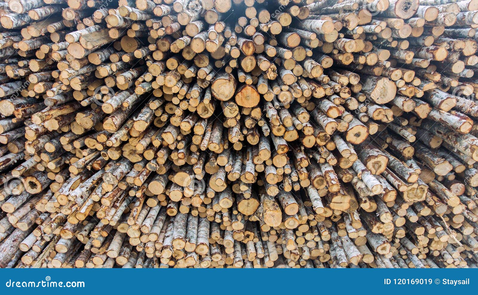 Stack of Wood Raw Materials. Stock Image Image of lumberyard