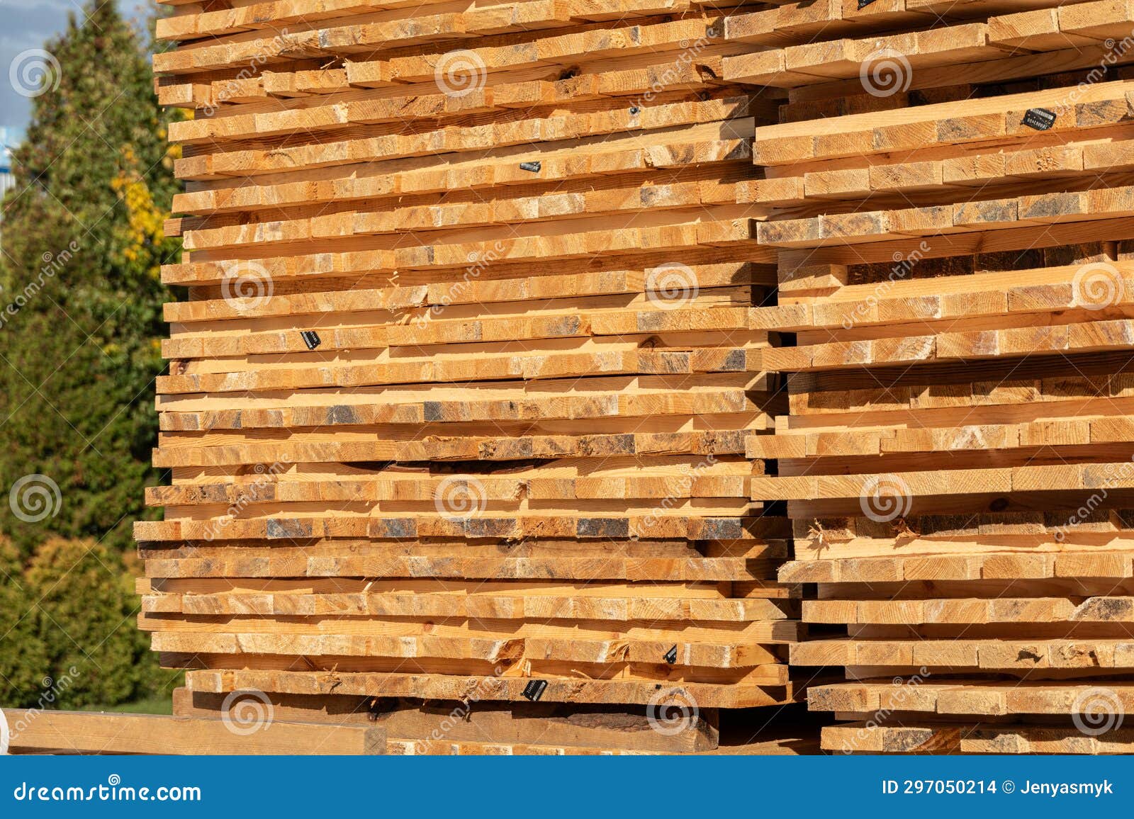 Stack of Wooden Planks in Sawmill Lumber Yard Stock Photo Image of