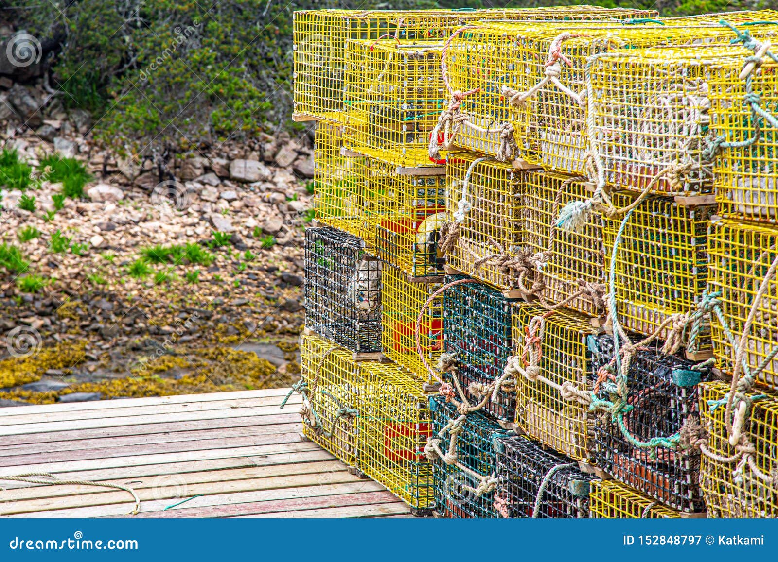 Stack of Yellow Lobster Traps on Short Dock Stock Image Image of dock