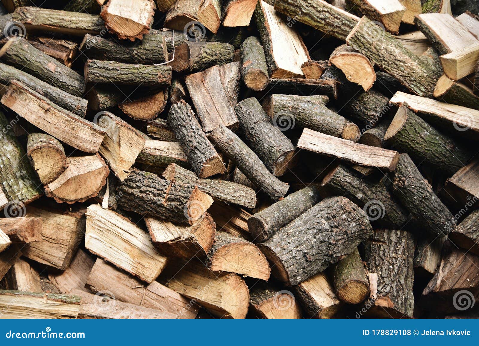 9 503 Oak Firewood Photos Free Royalty Free Stock Photos From Dreamstime