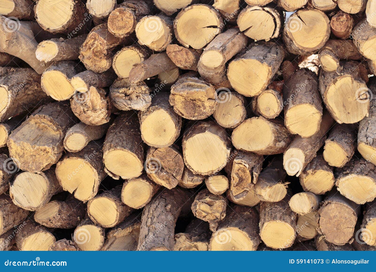 Stacked Firewood of Olive Tree Stock Image Image of fireplace, tree