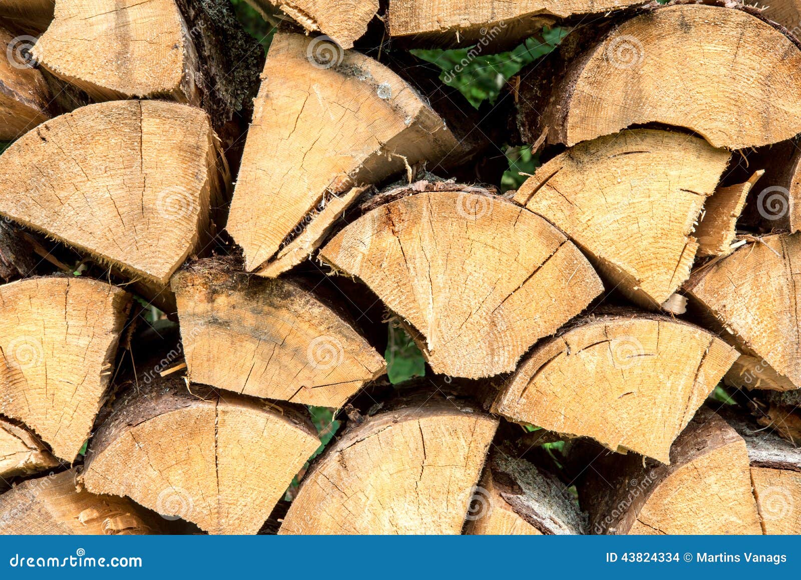 Stacked Firewood of Spruce in the Forest Stock Photo Image of logs, nature 43824334