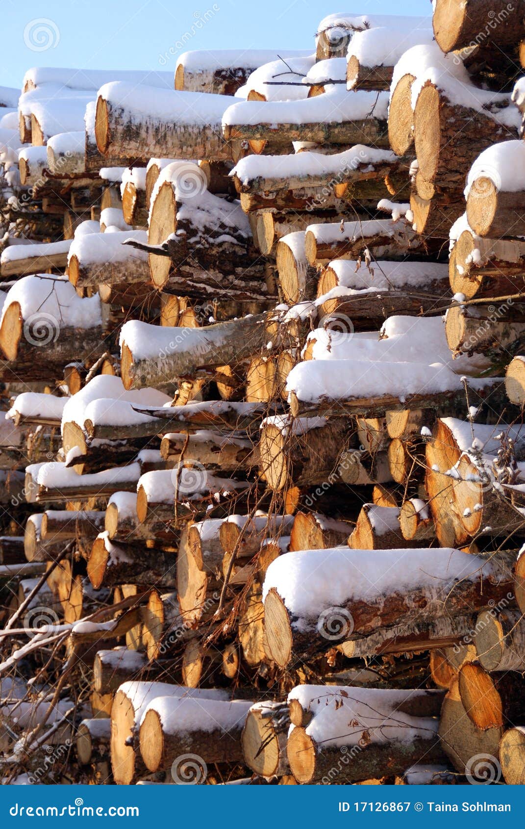 Stacked Firewood in Winter Snow Stock Image Image of natural