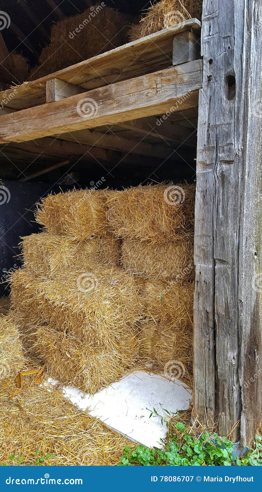 Stacked hay bales in barn stock image. Image of barn 78086707