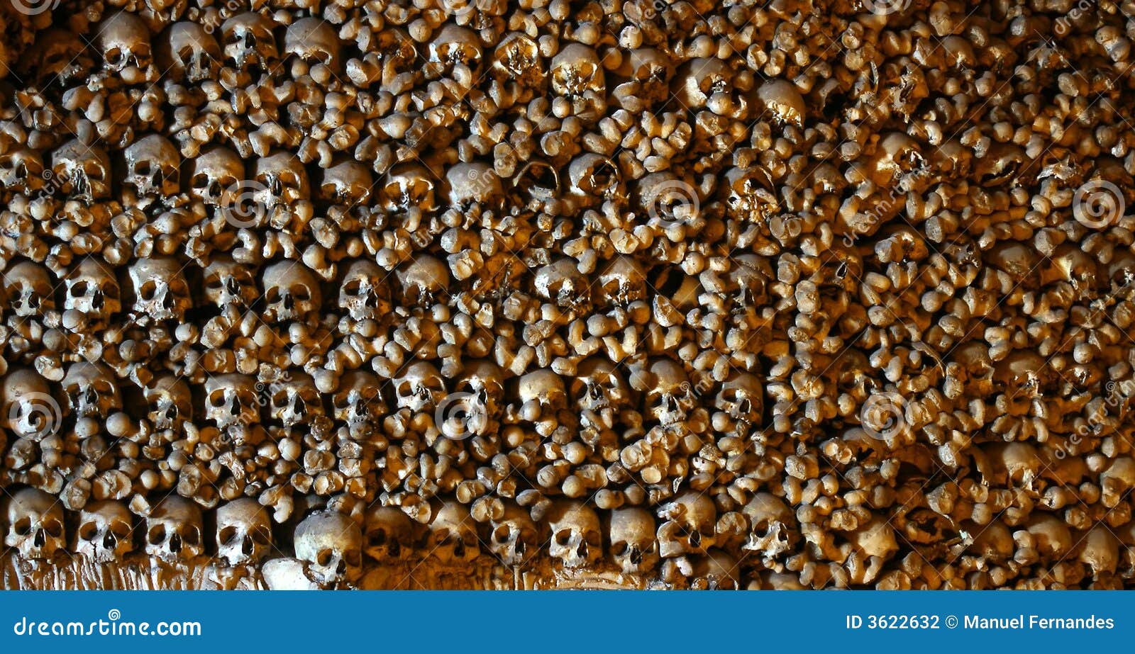 4/9 x 3/5 head, Image human bony stock photo. of Stacked bones 4/9 x 3/5 head, Image human bony stock photo. of Stacked bones