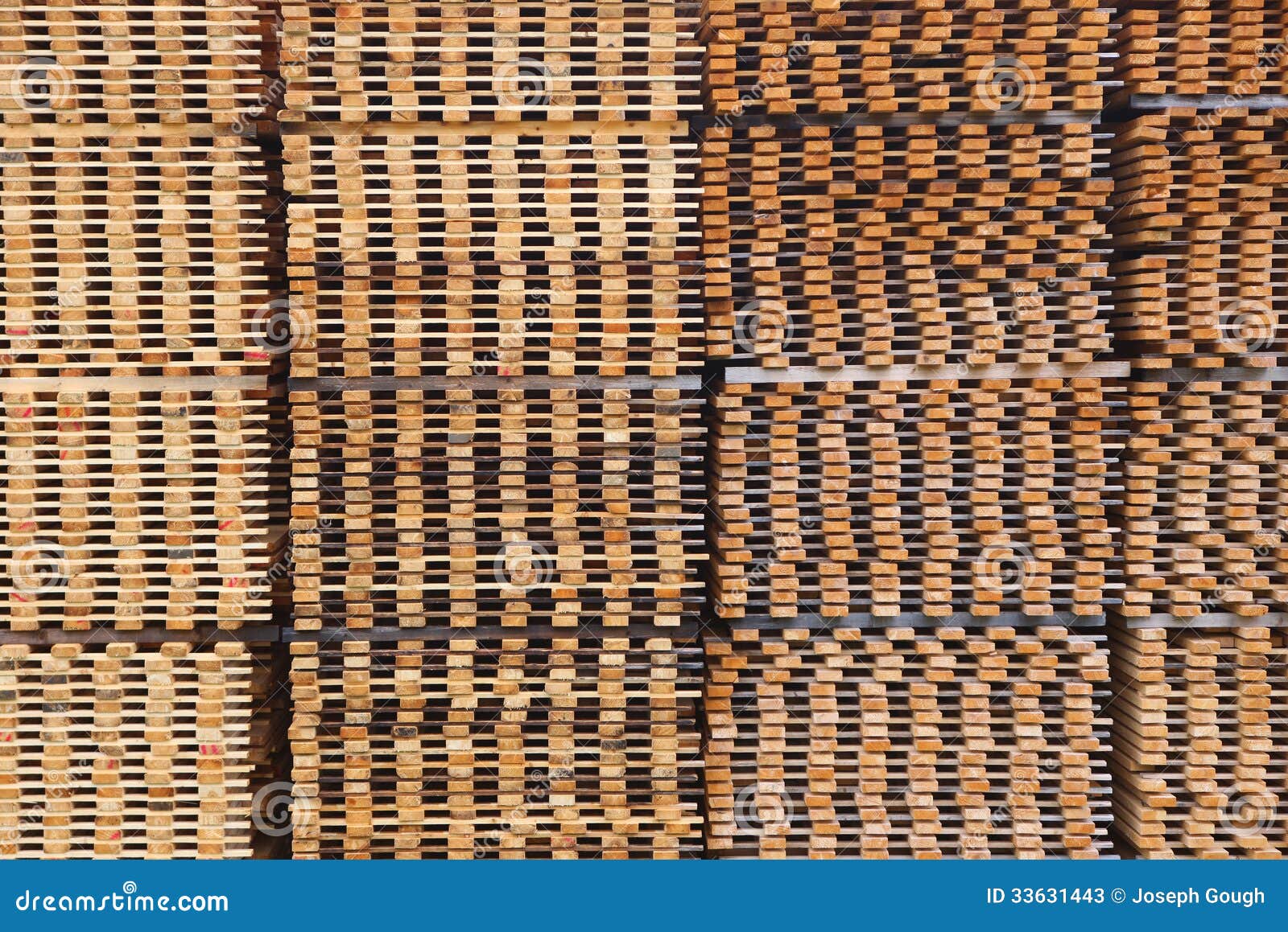 Stacked Pine Timber Planks Drying Stock Image Image of industrial