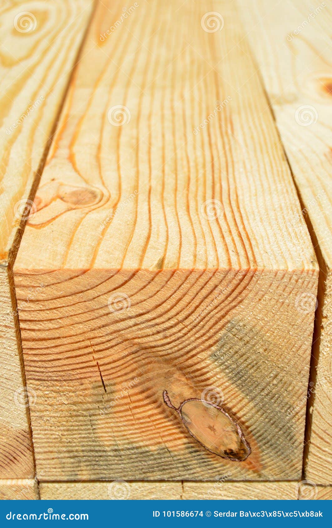 Stacked pine tree lumber stock photo. Image of carpenter 101586674