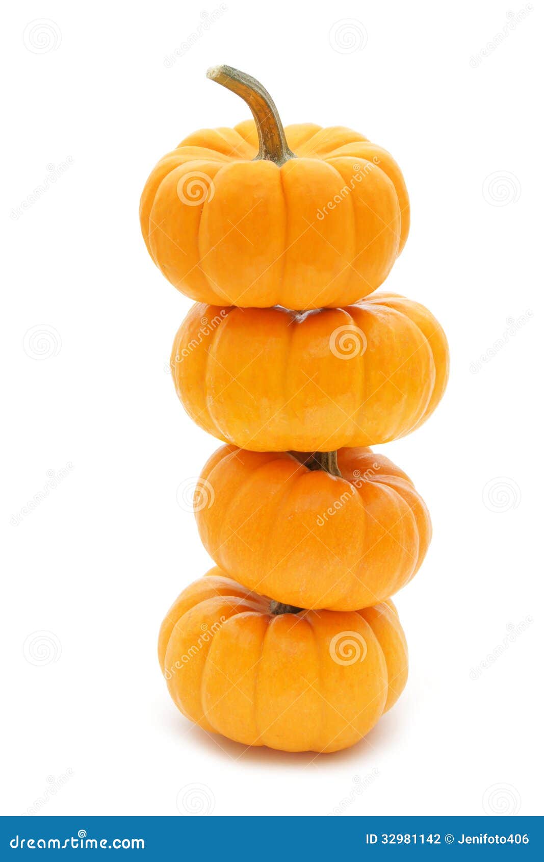 photographer image clipart pumpkin