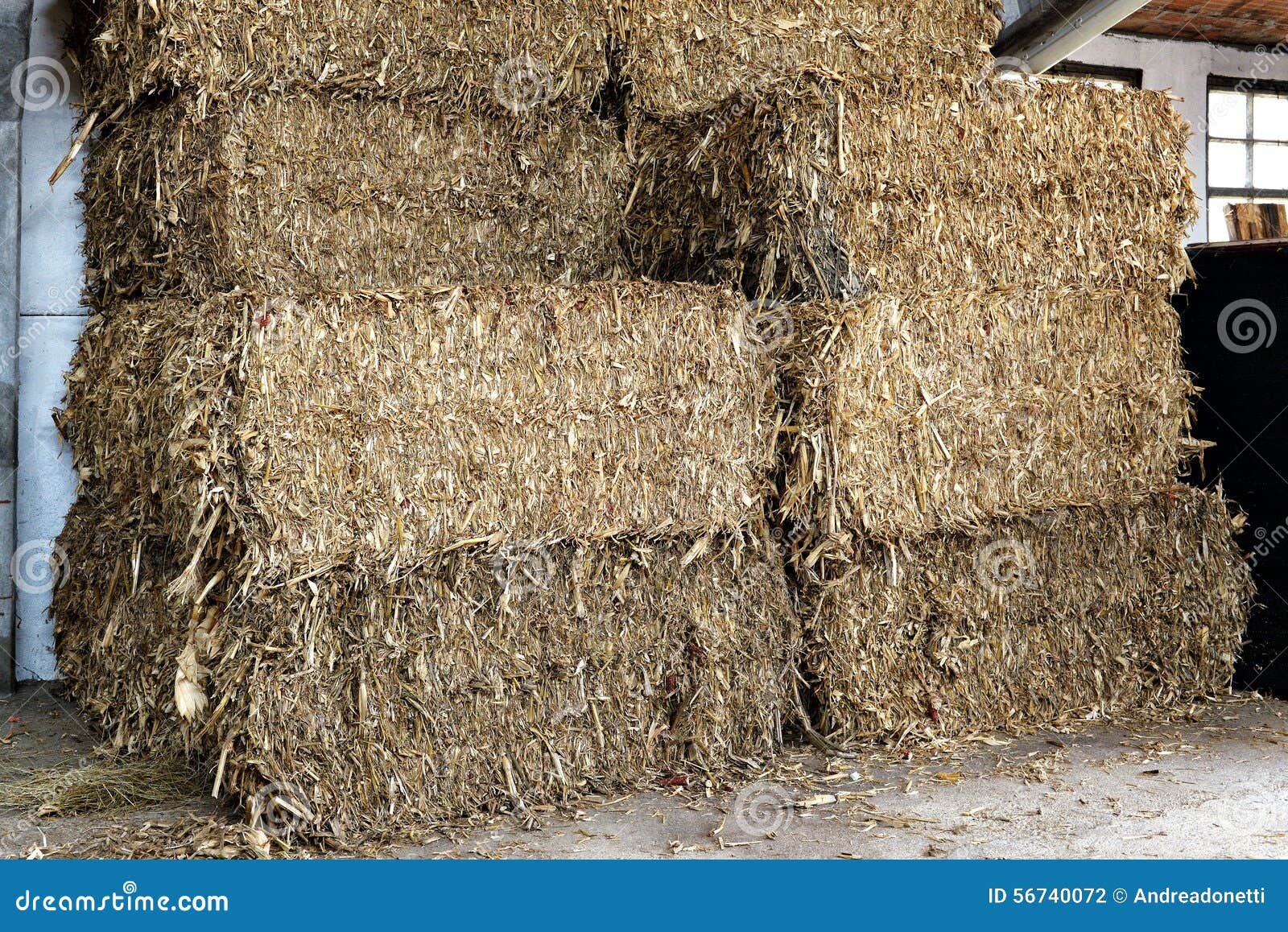 Stacked Rectangular Hay Bales Barn Stock Photos Free & RoyaltyFree