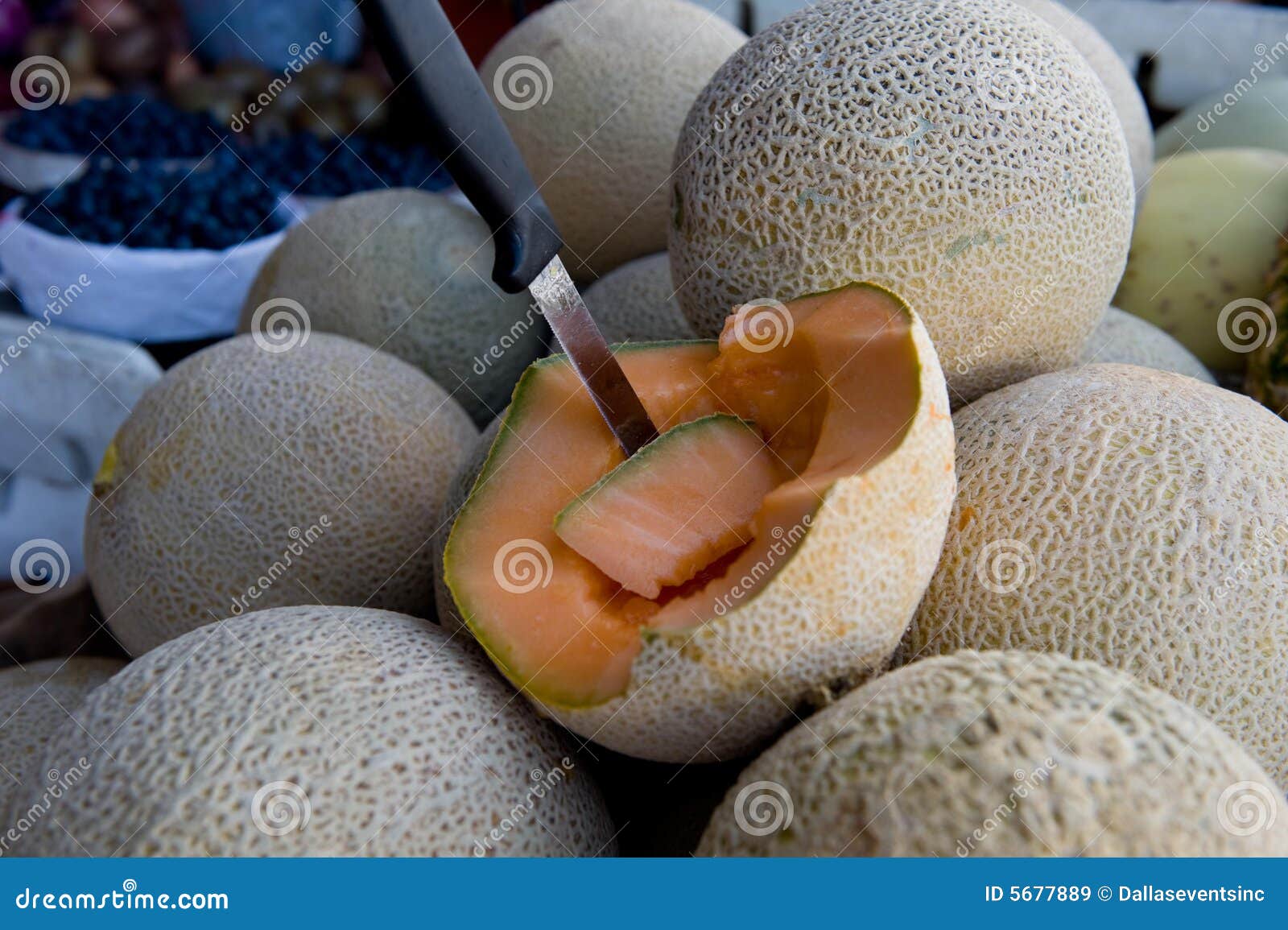 Stacked ripe cantaloupes stock image. Image of farmed 5677889