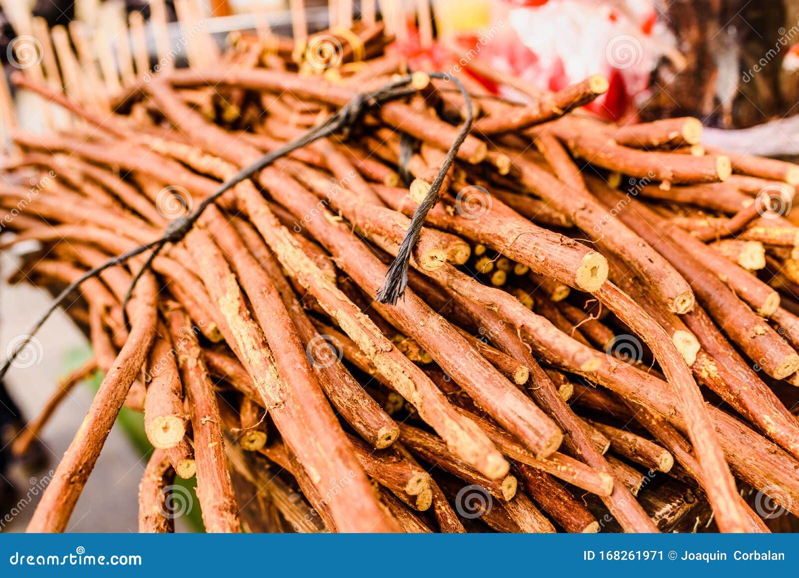 Stacks of Dried Licorice Branches for Sale Stock Image Image of