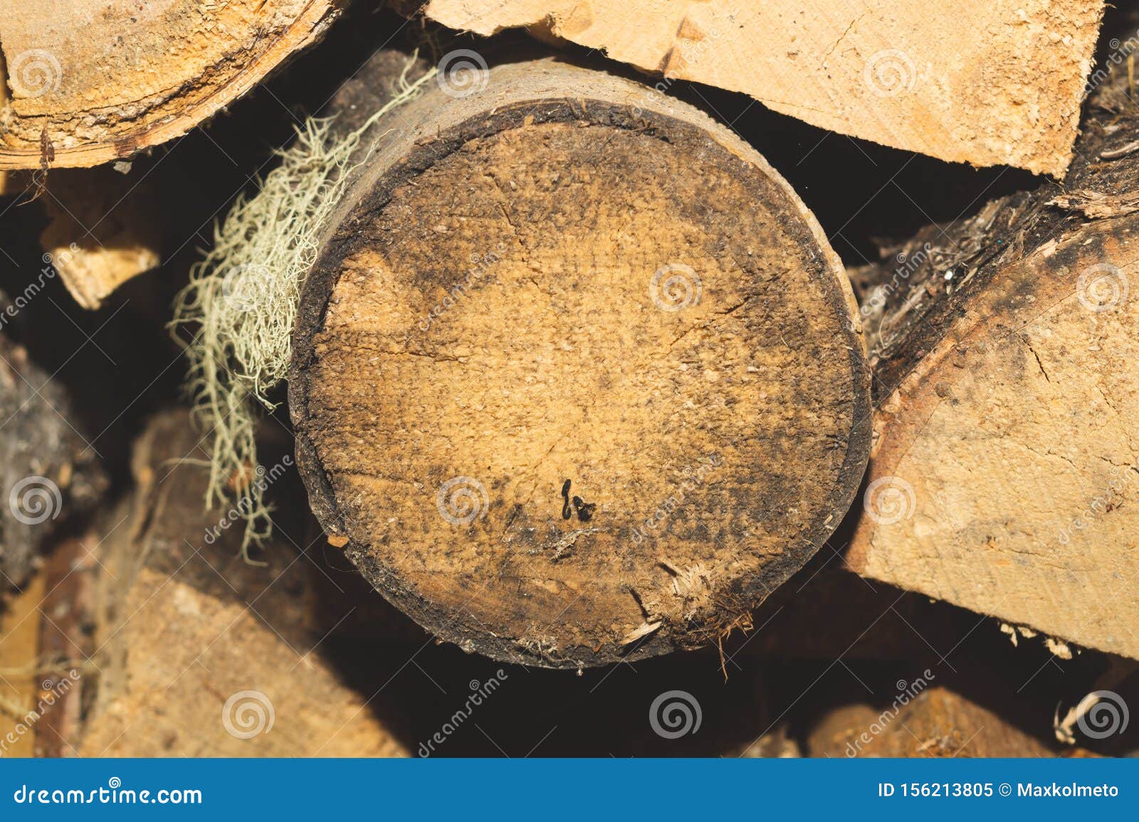 Stacks of Firewood. Preparation of Firewood for the Winter. Firewood