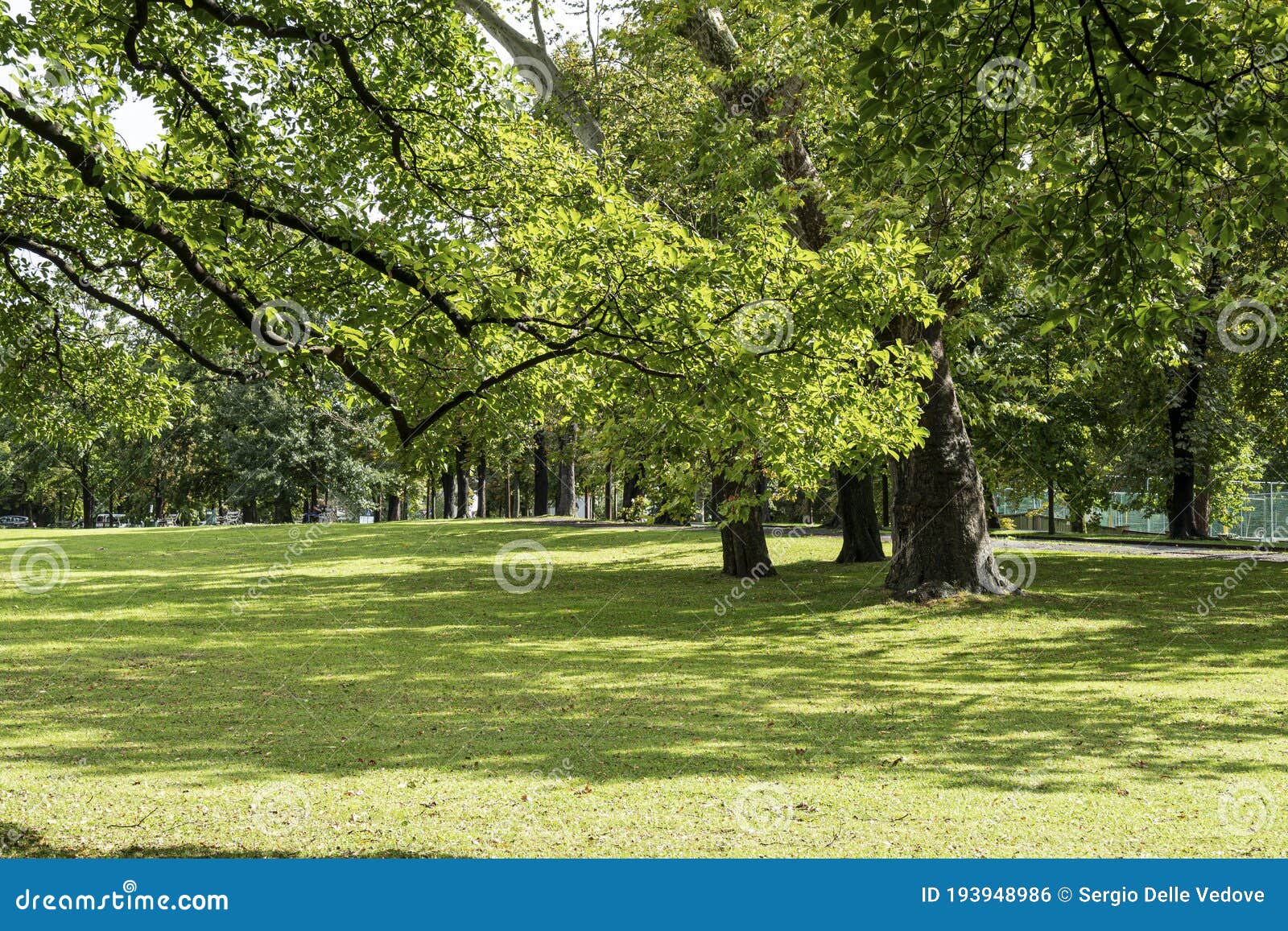 Stadtpark in Graz editorial photo. Image of graz, nature - 193948986