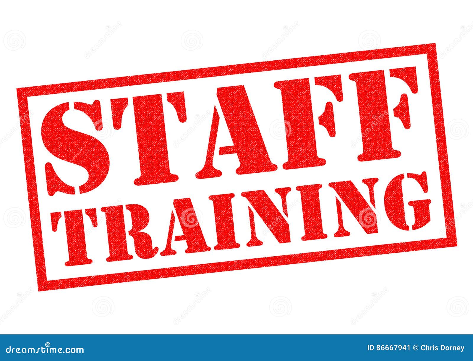 The Staff Training Icon. Presentation And Lectures, Presentations