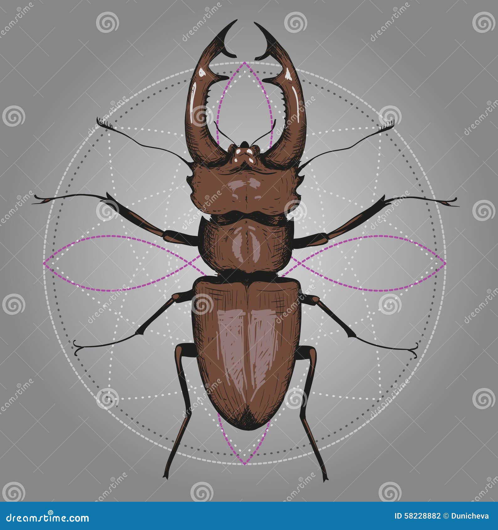 Featured image of post Tattoo Stag Beetle Drawing I m really proud of this one but still open to feedback
