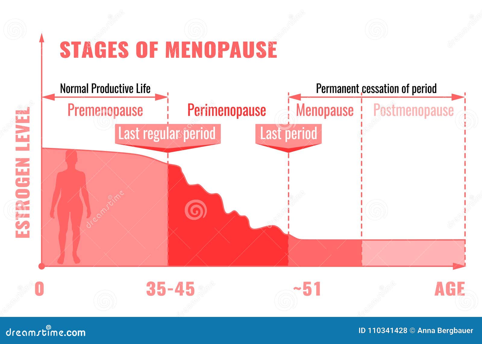 stages of menopause infographic