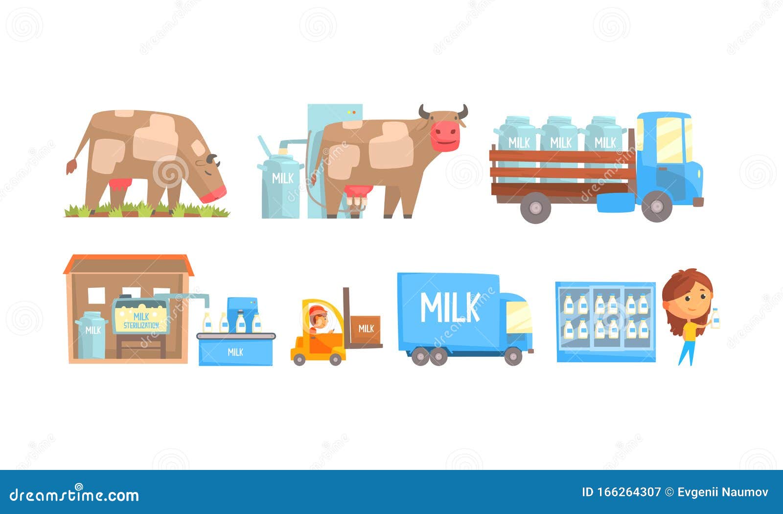 Stages Of Milk Production Vector Illustrated Set Stock Vector