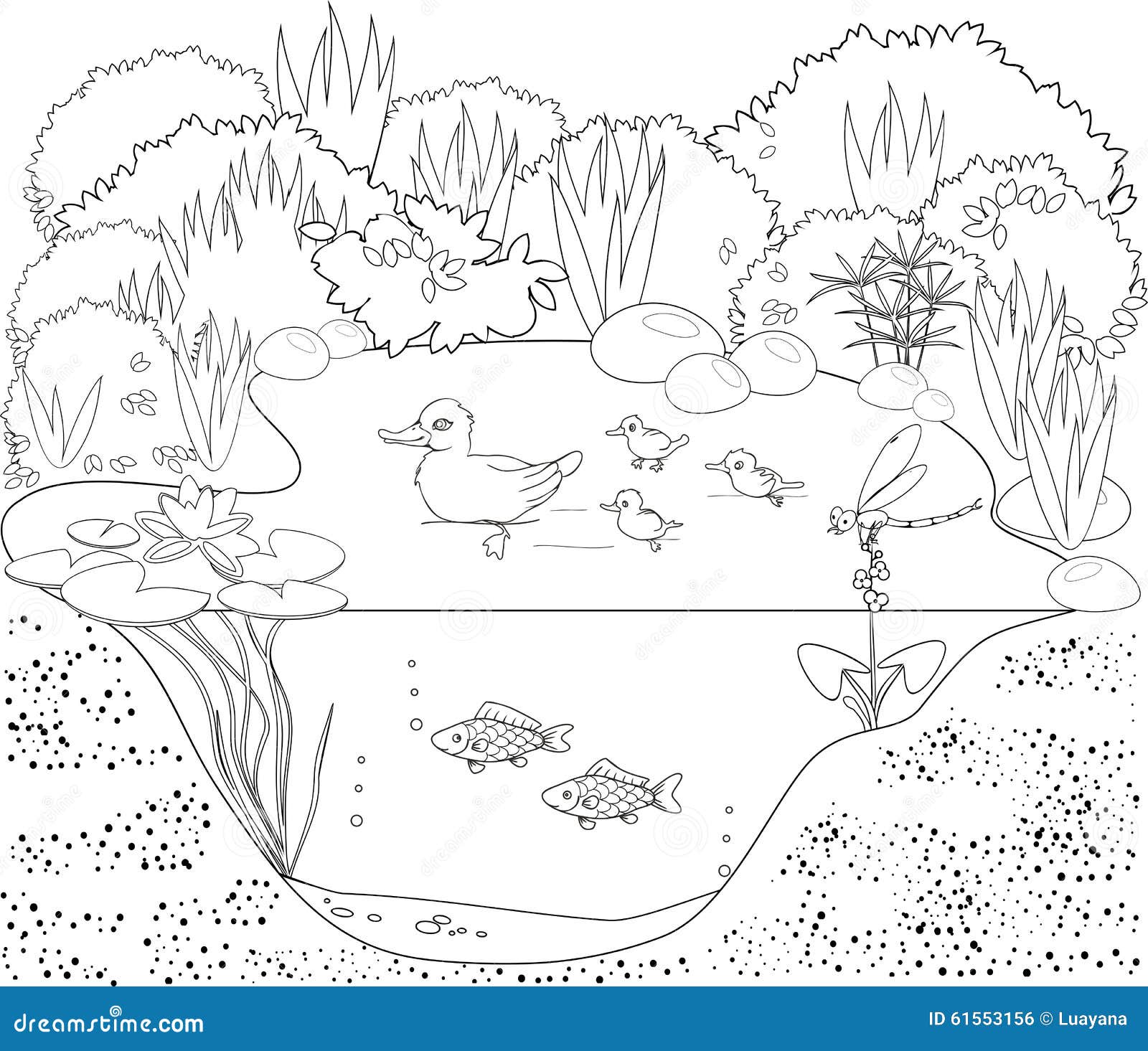 illustrazione di stock stagno dell anatra di coloritura image