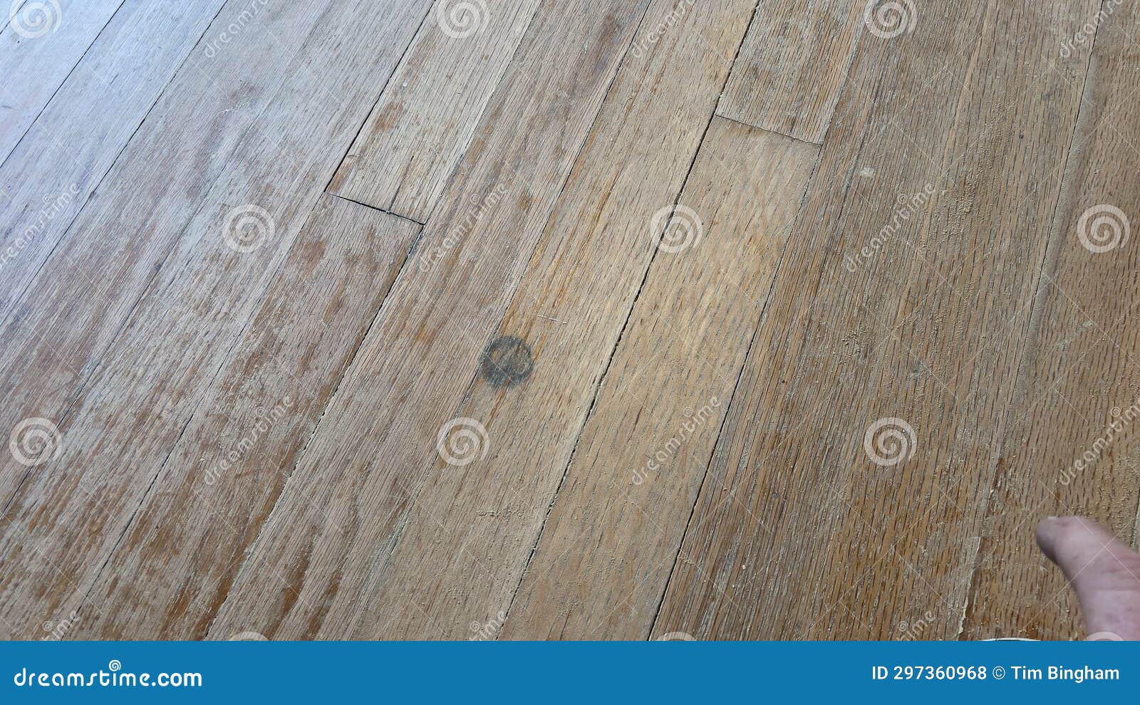 Stain Damage on Hardwood Floor Stock Photo Image of flooring